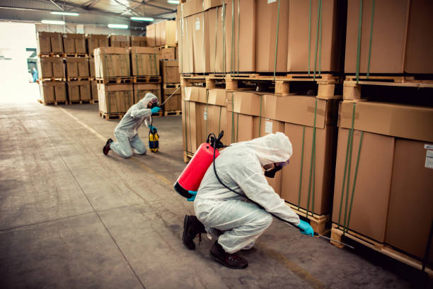 Best Pest Control Cost  in Chestnut Ridge, NY