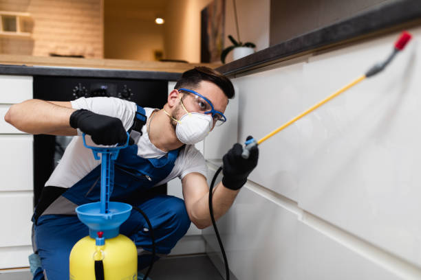 Pest Control Cost in Chestnut Ridge, NY
