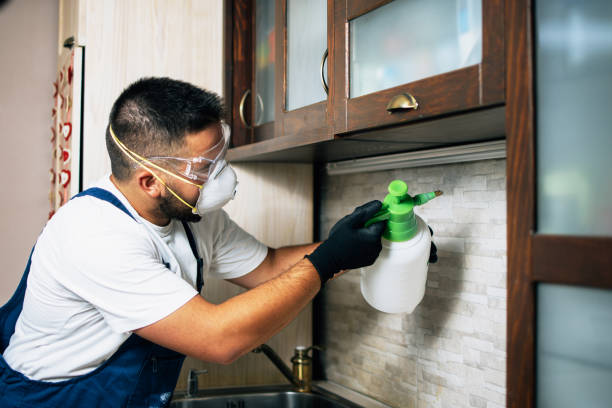 Best Insect Control  in Chestnut Ridge, NY