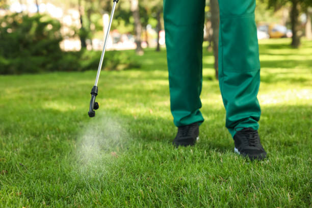 Best Pest Prevention Services  in Chestnut Ridge, NY