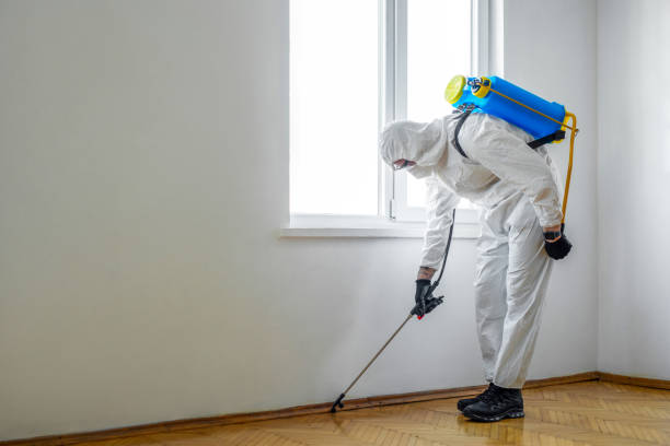 Best Exterminator Services  in Chestnut Ridge, NY