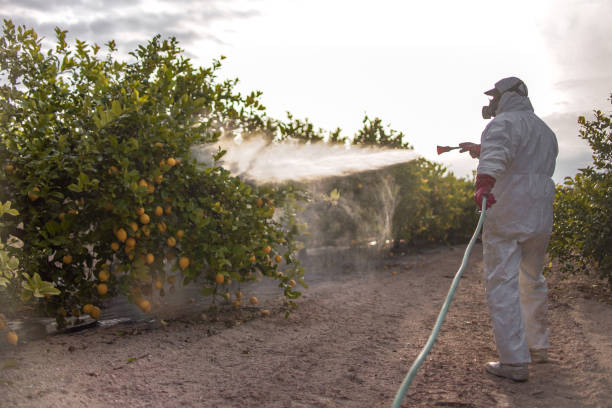 Best Emergency Pest Control  in Chestnut Ridge, NY